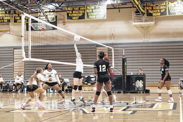 <p>Demarco Bostic | The Herald-Advocate</p>