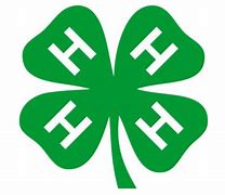 4-H Poultry Project offered | Herald-Advocate