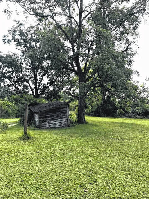 131745209_web1_Back-Yard-memories