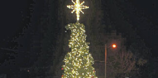 
			
				                                 Lauren Monica | Herald-Advocate

			
		