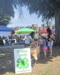 Crowds show up for Bennettsville’s inaugural Beeville Festival