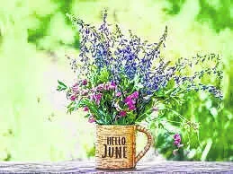 Think you know June?