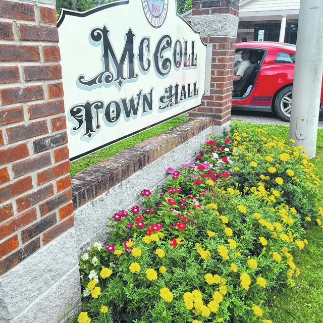 McColl Councilwoman spearheads Beautification Project