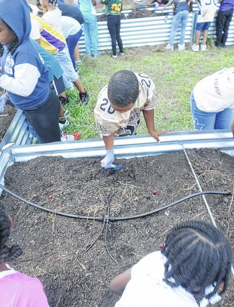 Bennettsville Primary students grow their knowledge through gardening program