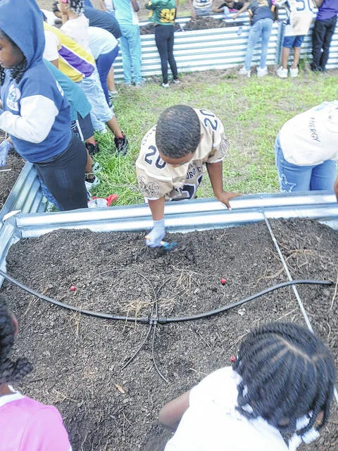 Bennettsville Primary students grow their knowledge through gardening program